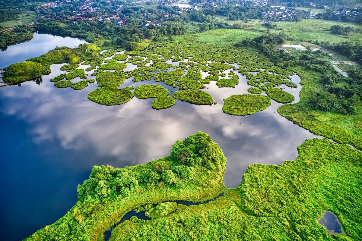 Thriving and healthy area with water reflection