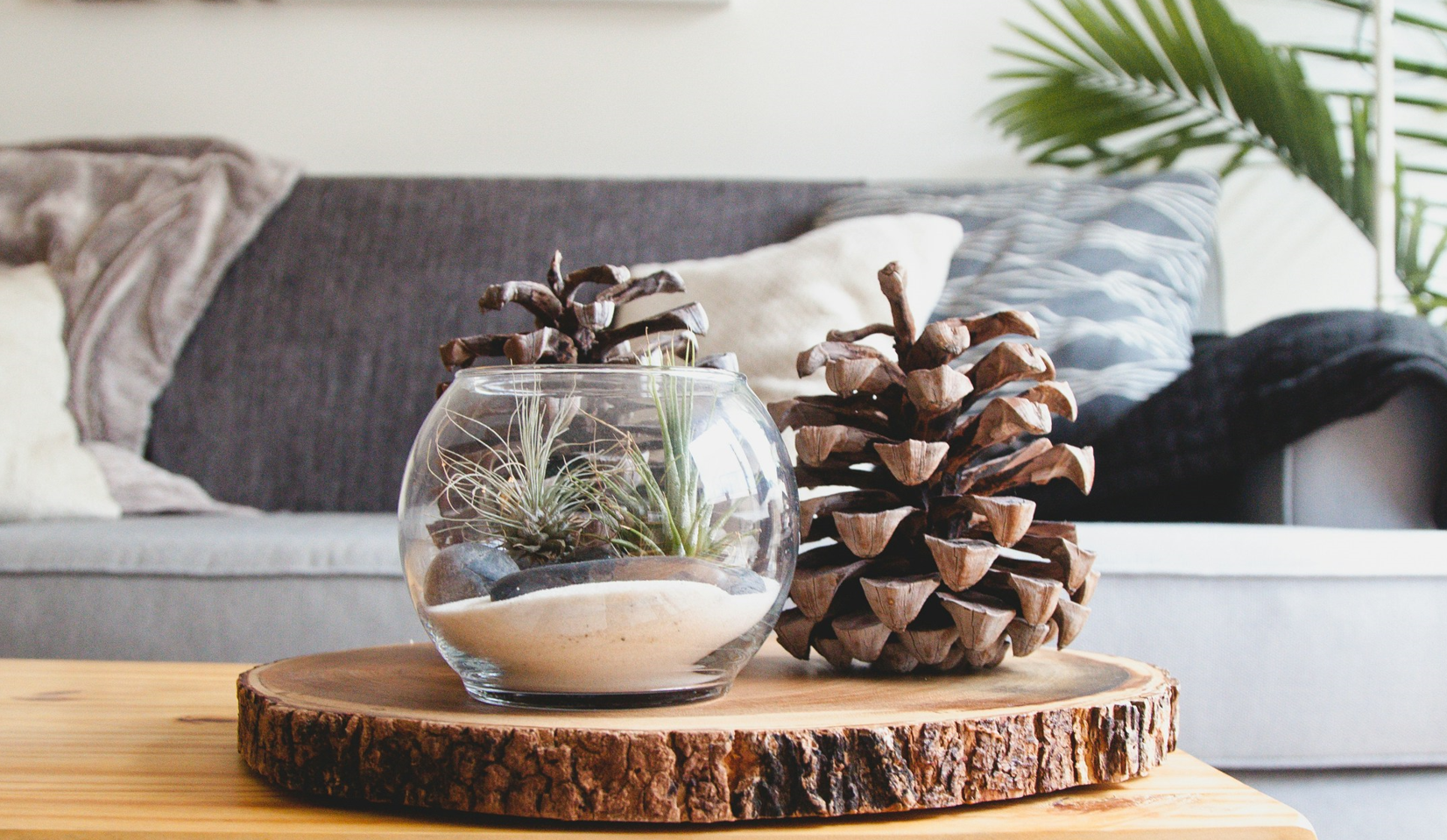 Clear fishbowl beside pine cones on brown wooden table